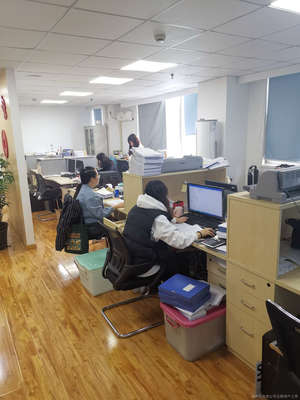 上海順澤財務咨詢 專業財務咨詢服務的領先選擇