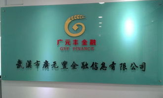 武漢廣元豐金融信息財務(wù)咨詢服務(wù) 打造企業(yè)財務(wù)健康新生態(tài)