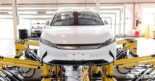 新能車每日快訊 比亞迪與特斯拉動態更新，10月19日二手車交易市場經營觀察